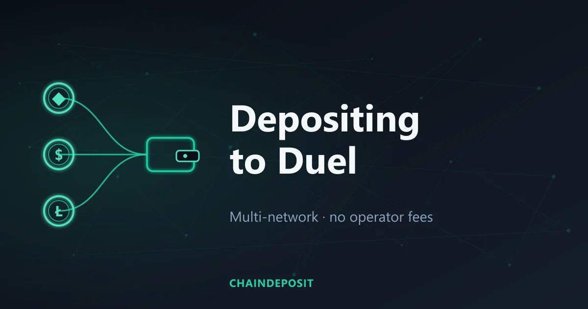 Diagram of multi-network crypto deposits flowing into a Duel wallet